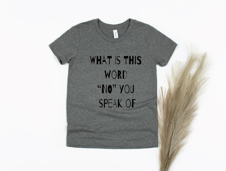 What's This Word "No" You Speak Of Shirt - gray